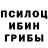 Псилоцибиновые грибы MAGIC MUSHROOMS Dean Kurbanov