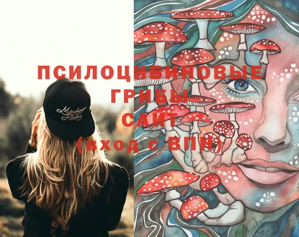 тгк Нея