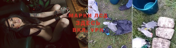 ГАЛЛЮЦИНОГЕННЫЕ ГРИБЫ Нефтекумск