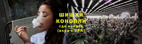ГАЛЛЮЦИНОГЕННЫЕ ГРИБЫ Нефтекумск