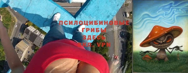 ГАЛЛЮЦИНОГЕННЫЕ ГРИБЫ Нефтекумск