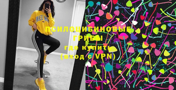 тгк Нея